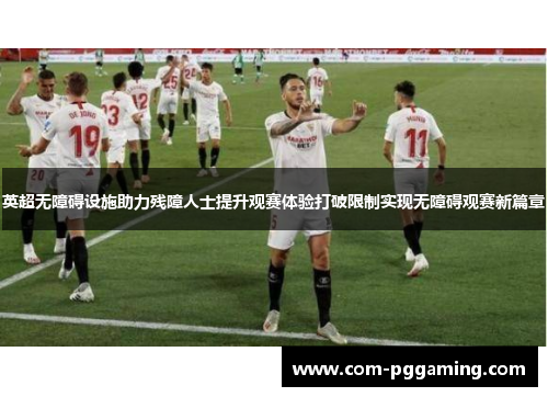 英超无障碍设施助力残障人士提升观赛体验打破限制实现无障碍观赛新篇章
