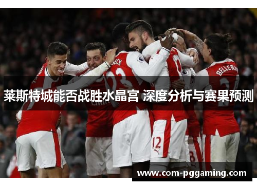 莱斯特城能否战胜水晶宫 深度分析与赛果预测 莱斯特城能否战胜水晶宫 深度分析与赛果预测