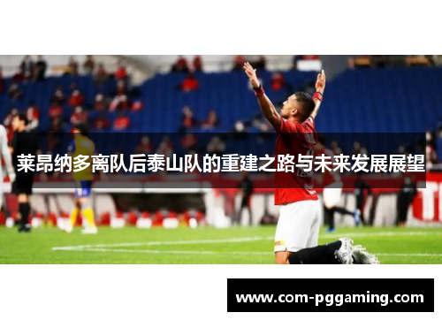 莱昂纳多离队后泰山队的重建之路与未来发展展望 莱昂纳多离队后泰山队的重建之路与未来发展展望