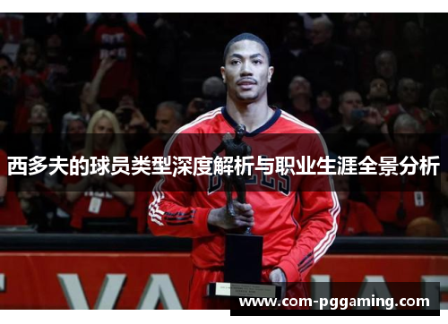 西多夫的球员类型深度解析与职业生涯全景分析 西多夫的球员类型深度解析与职业生涯全景分析