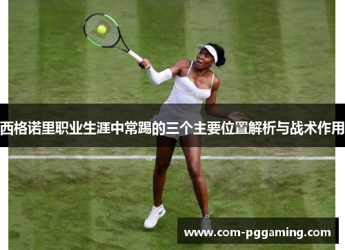西格诺里职业生涯中常踢的三个主要位置解析与战术作用 西格诺里职业生涯中常踢的三个主要位置解析与战术作用