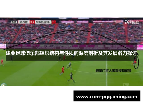 建业足球俱乐部组织结构与性质的深度剖析及其发展潜力探讨 建业足球俱乐部组织结构与性质的深度剖析及其发展潜力探讨