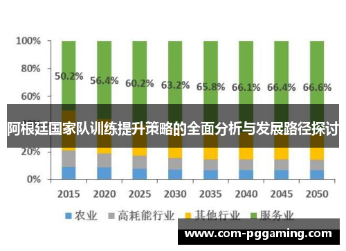 阿根廷国家队训练提升策略的全面分析与发展路径探讨