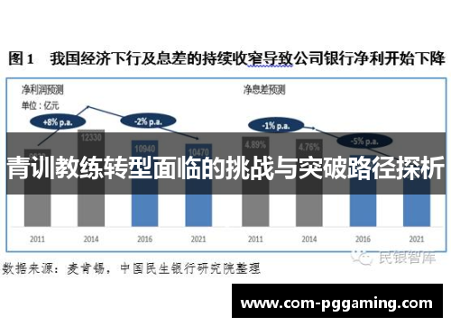 青训教练转型面临的挑战与突破路径探析