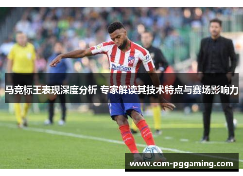 马竞标王表现深度分析 专家解读其技术特点与赛场影响力