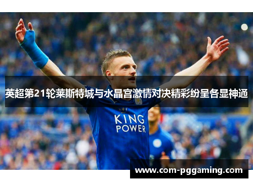 英超第21轮莱斯特城与水晶宫激情对决精彩纷呈各显神通