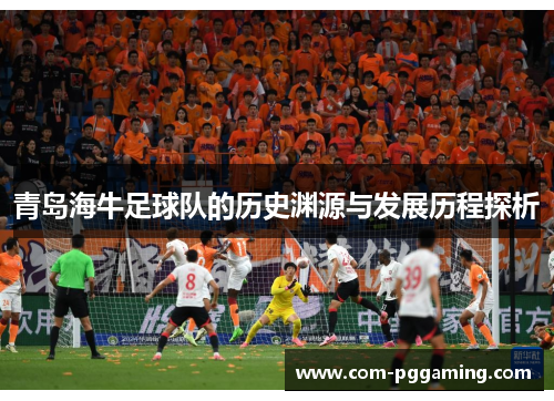 青岛海牛足球队的历史渊源与发展历程探析
