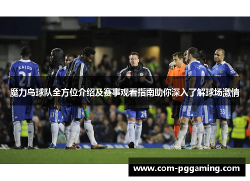 魔力鸟球队全方位介绍及赛事观看指南助你深入了解球场激情