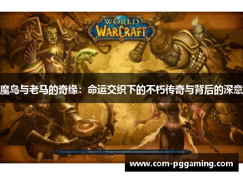 魔鸟与老马的奇缘：命运交织下的不朽传奇与背后的深意